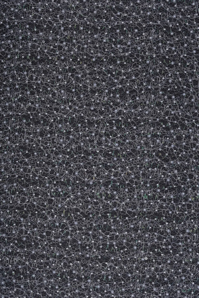 Butterfly Net With Hand Work Fabrics